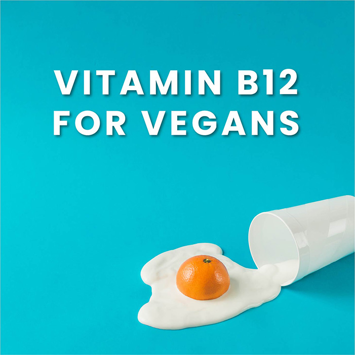 Vitamin B12 Ready Meal Mixes - Buy Vitamin B12 Ready Meal Mixes